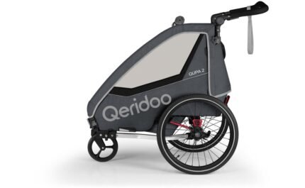 Qeridoo QUPA 2 Grey