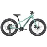 Cannondale KIDS TRAIL PLUS - 20" Kinderfahrrad - 2026 - cactus green