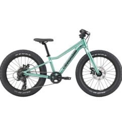 Cannondale KIDS TRAIL PLUS - 20" Kinderfahrrad - 2026 - cactus green