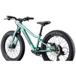 Cannondale KIDS TRAIL PLUS - 20" Kinderfahrrad - 2026 - cactus green – Image 5